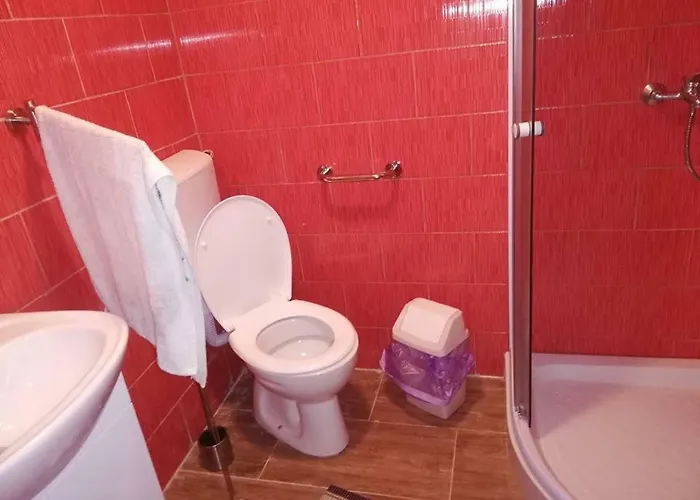 Zdravko *